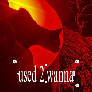 used 2 wanna (Explicit)