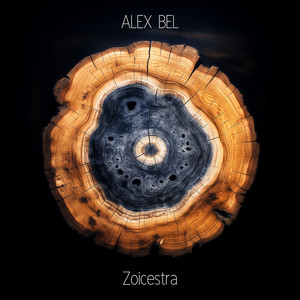 Zoicestra