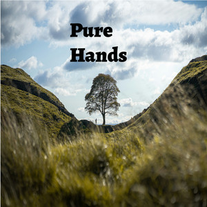 Pure Hands