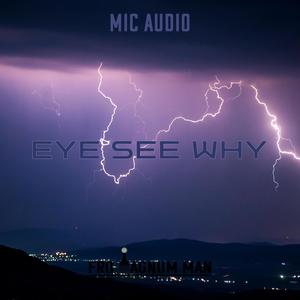 Eye See Why (feat. Mic Audio) (Explicit)