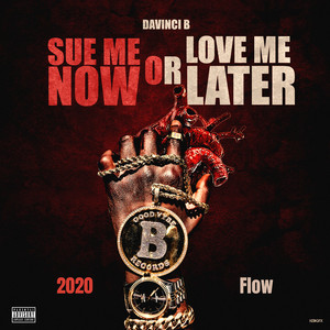 Sue Me Now or Love Me Later (2020 Flow) [Explicit]