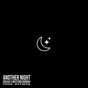 Another Night (feat. Bvtman) (Explicit)