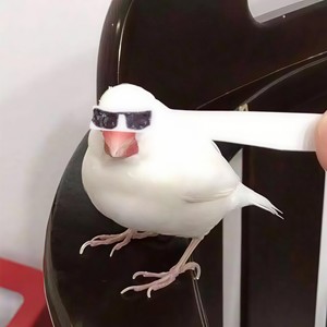 反面教材