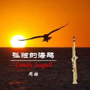 孤独的海鸥