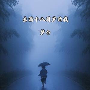 未满十八周岁的我