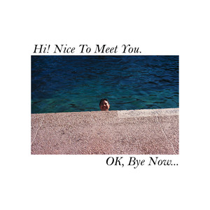 Hi! Nice to Meet You. Ok, Bye Now... (Explicit)