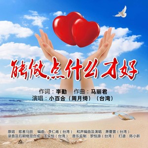 能做点什么才好