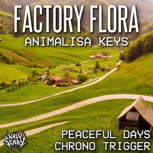 Peaceful Days (Lofi Hip Hop Remix)