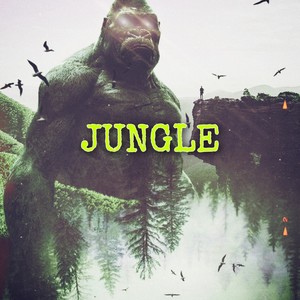 JUNGLE (feat. Steezy Reezy) [Explicit]