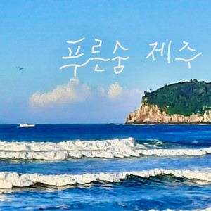 푸른숨 제주