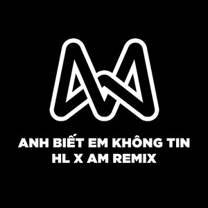 Anh Biết Em Không Tin (HL Remix)