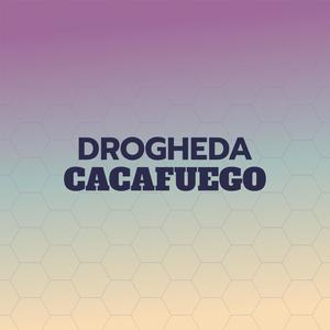 Drogheda Cacafuego