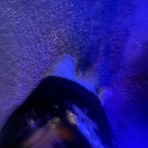 Get Out The Kitchen (Explicit)