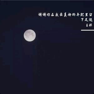 谢谢你在我最美好的年纪里留下足迹Demo