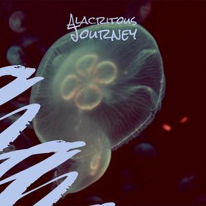 Alacritous Journey