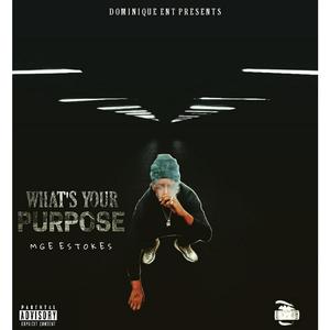 What's Your Purpose (Explicit)