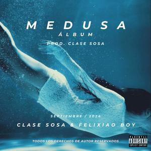 MALA FAMA (feat. Felixiao Boy & Maldito Negro)