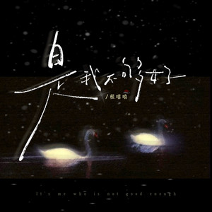 是我不够好 (释怀版)