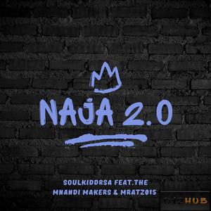 Naja 2.0 (feat. The Mnandi Makers & Mratz015)