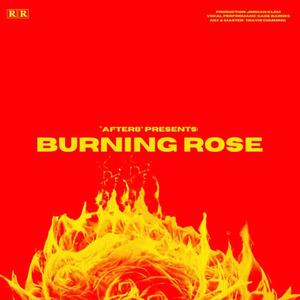 Burning Rose