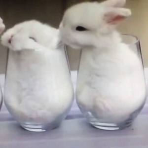 当你