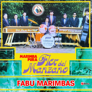 Fabu Marimbas. Música de Guatemala para los Latinos