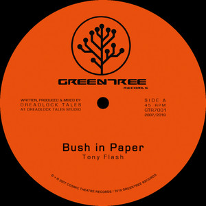 Bush In Paper