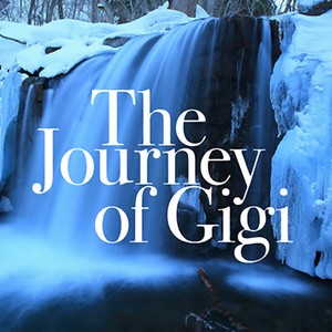 The Journey of Gigi (Farewell to a Friend)