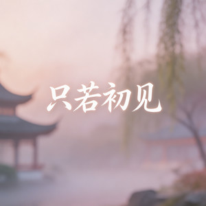 只若初见