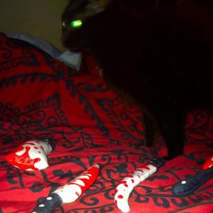 hate me (feat. Shiki XO) (Explicit)