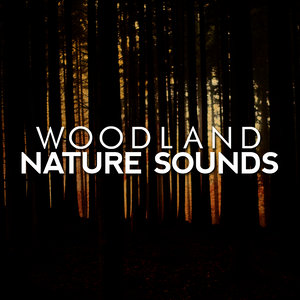 Woodland Nature Sounds