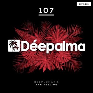 The Feeling (Extended Mix)