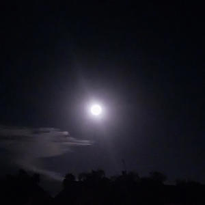 Need Change (feat. Mxgazine & ActuallyVixl) (Explicit)