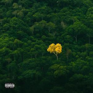 My Sheila (feat. Racks Rsa & RogueKnight808) (Explicit)