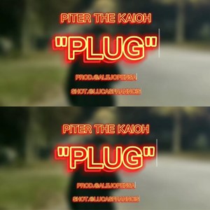 PLUG