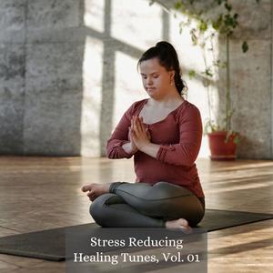 Stress Reducing Healing Tunes, Vol. 01