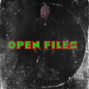 OPEN  FILES (Explicit)