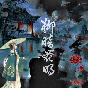 柳暗花明封面
