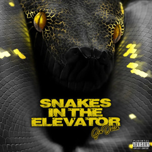 Gin Dutch - Snakes In The Elevator (Explicit)