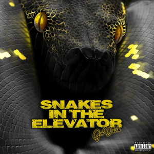 Snakes In The Elevator (Explicit)