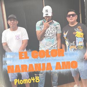 EL COLOR NARANJA AMO