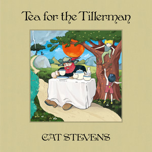 Tea For The Tillerman (Deluxe)