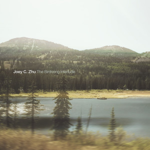 The Birdsong Interlude