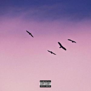 birds (Explicit)