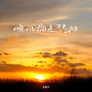 晚风摘走了夕阳 (0.8x)