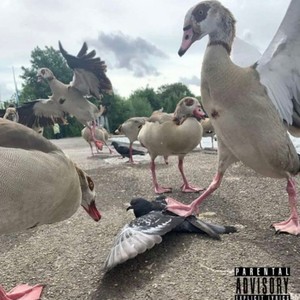 Backrooms(feat. 10KKASKET) (Explicit)