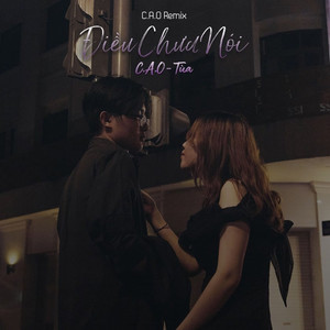 Điều Chưa Nói (C.A.O Remix)