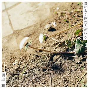 もしも僕に (moshimo bokuni)