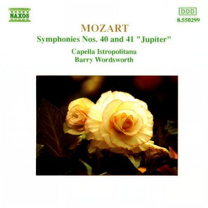 Symphony No. 40 in G Minor, K. 550 - I. Molto allegro