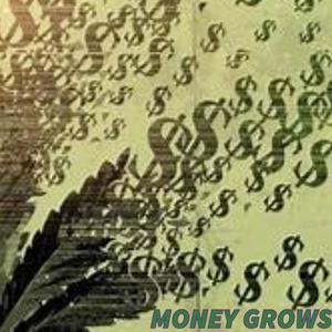 MONEY GROWS (feat. Chizz Cb) [Explicit]